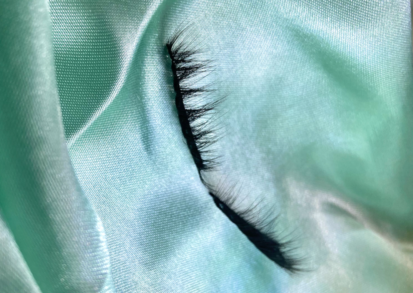 2004 - Giselle's Collection